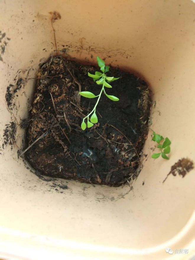 谷壳宝(谷壳宝官网)