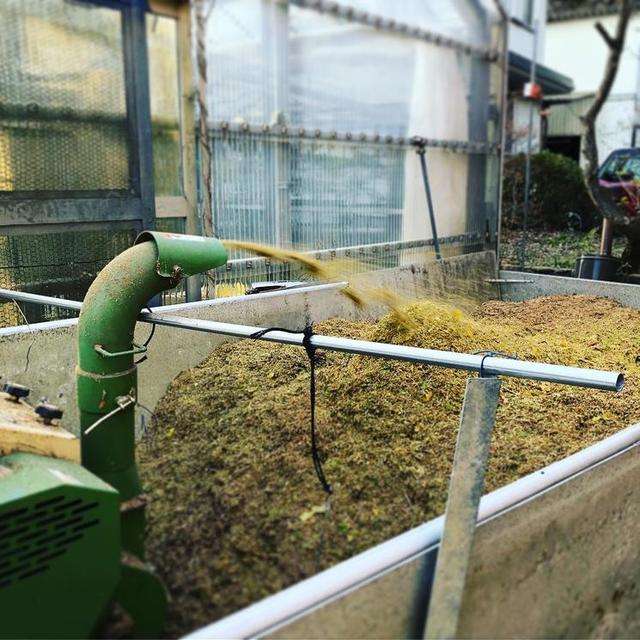 谷壳宝(谷壳宝官网)