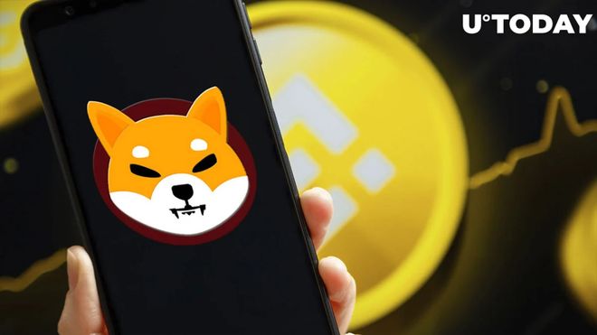 shiba最新消息(shiba inu 最新行情)